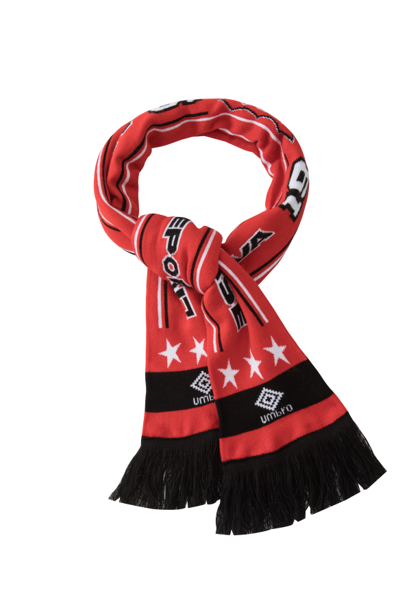 BUFANDA 25 1919 - Imagen 2