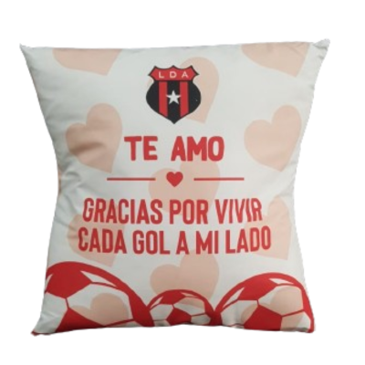 COJIN SAN VALENTIN 23